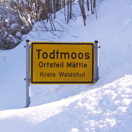 Birke 9, 10 Oder 11 Apartment Todtmoos