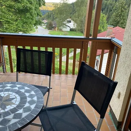 Apartment Birke 9, 10 Oder 11 *
