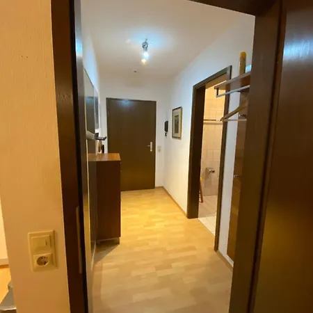 Birke 9, 10 Oder 11 *