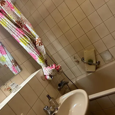 Apartment Birke 9, 10 Oder 11 Todtmoos