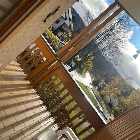 Birke 9, 10 Oder 11 * Todtmoos