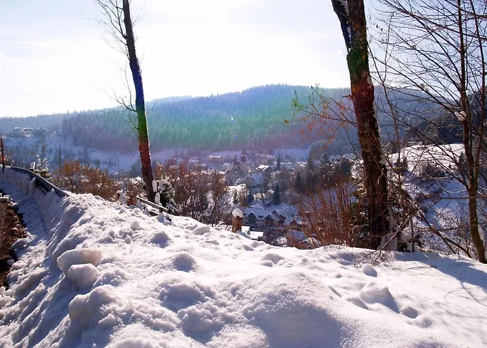 Апартаменты Birke 9, 10 Oder 11 Тодтмос