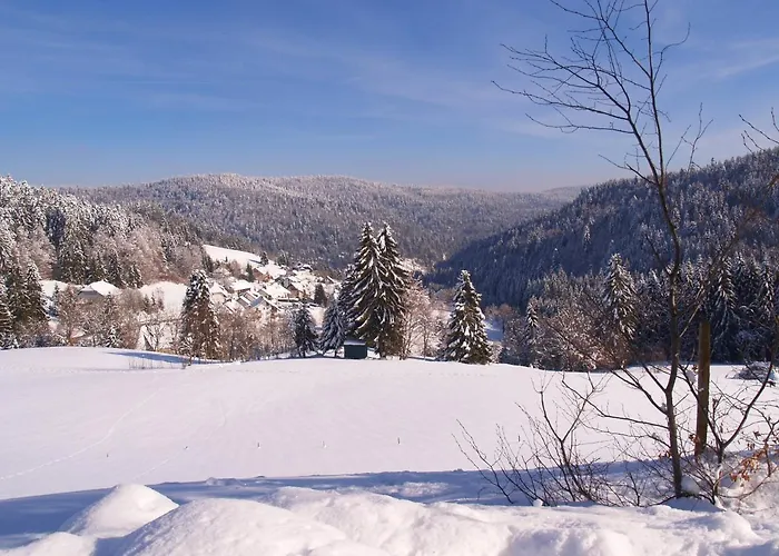 Birke 9, 10 Oder 11 * Тодтмос