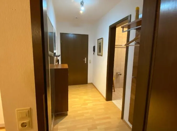 Birke 9, 10 Oder 11 *