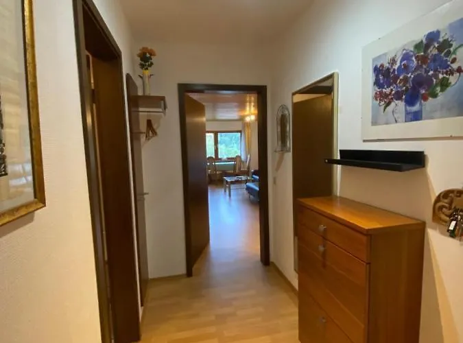 Birke 9, 10 Oder 11 Apartamento Todtmoos