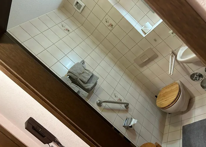 Birke 9, 10 Oder 11 *