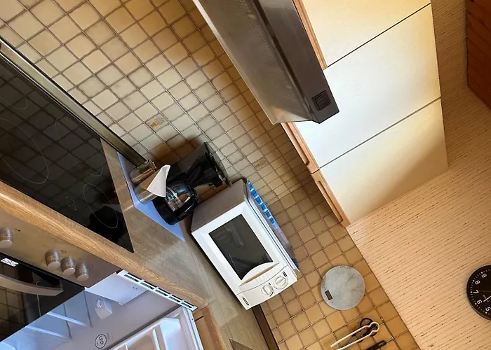 Birke 9, 10 Oder 11 Todtmoos