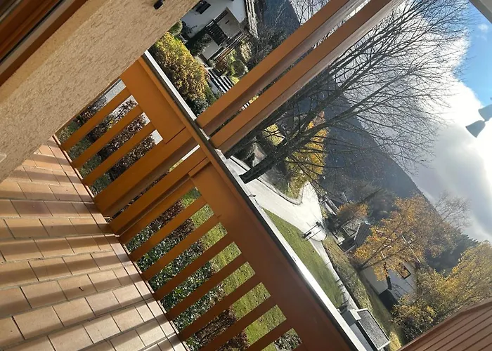 Birke 9, 10 Oder 11 * Todtmoos