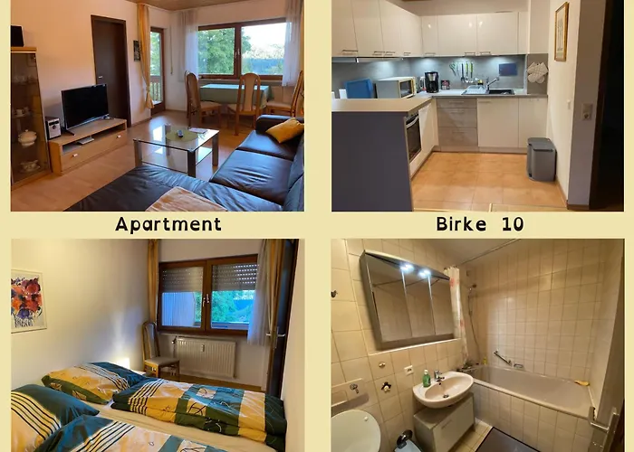 Birke 9, 10 Oder 11 * Тодтмос