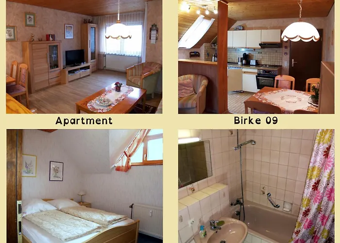 Birke 9, 10 Oder 11 *